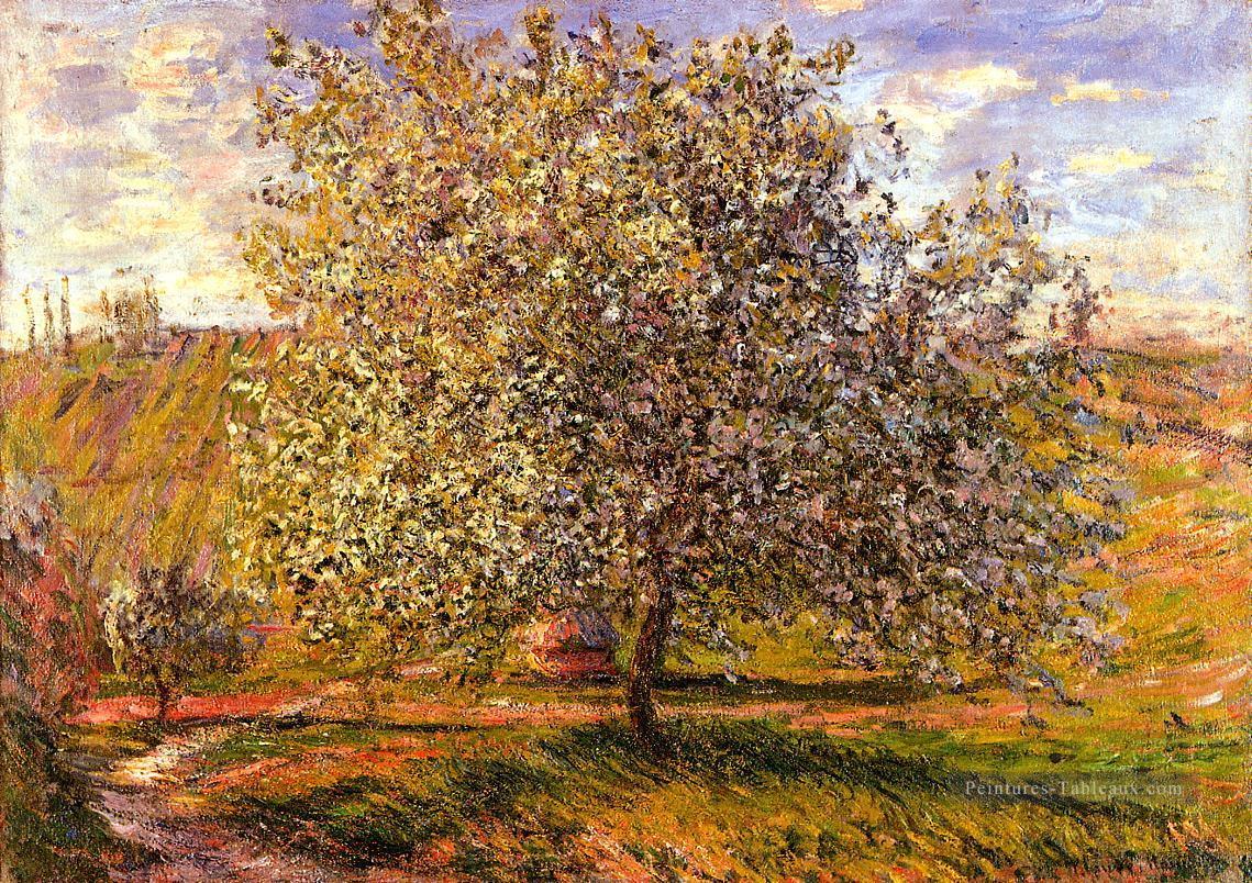 Arbre à Fleur près de Vetheuil Claude Monet Peintures à l'huile